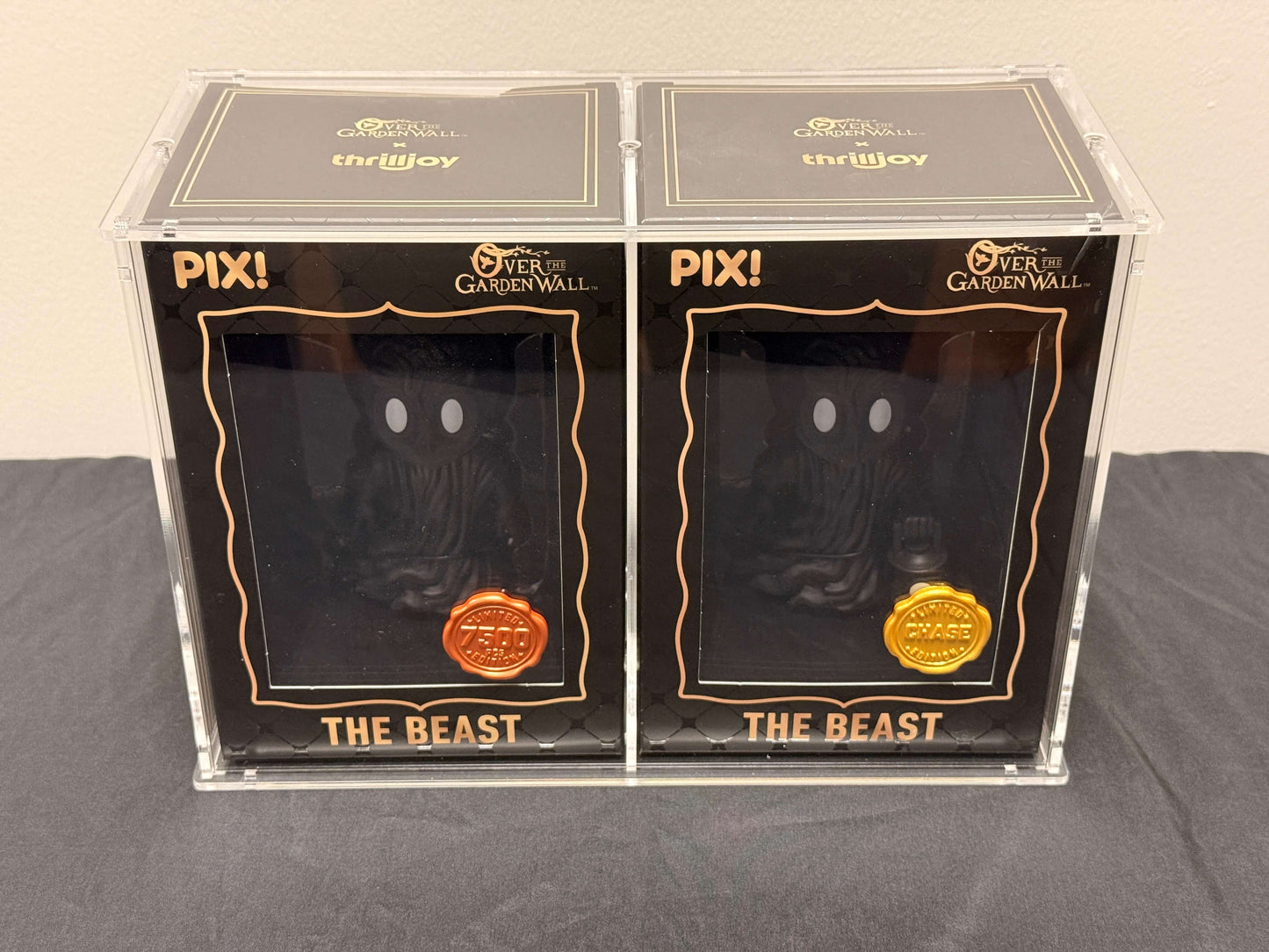 Dual PIX Thrilljoy's (Two Standard Size) Acrylic Display